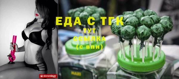 apvp Бородино