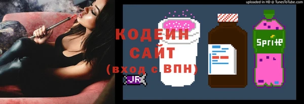 apvp Бородино