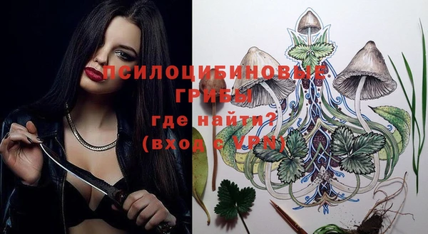 apvp Бородино
