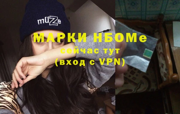 apvp Бородино