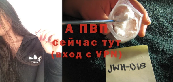 apvp Бородино