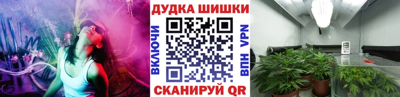 Бошки марихуана сатива  Купить  Сарапул 